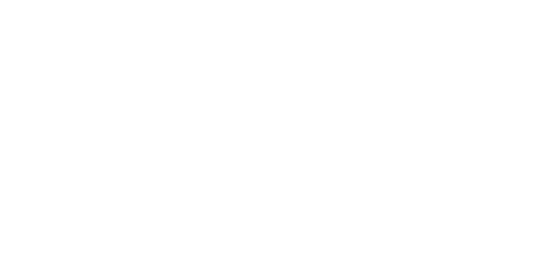 The Library Logo