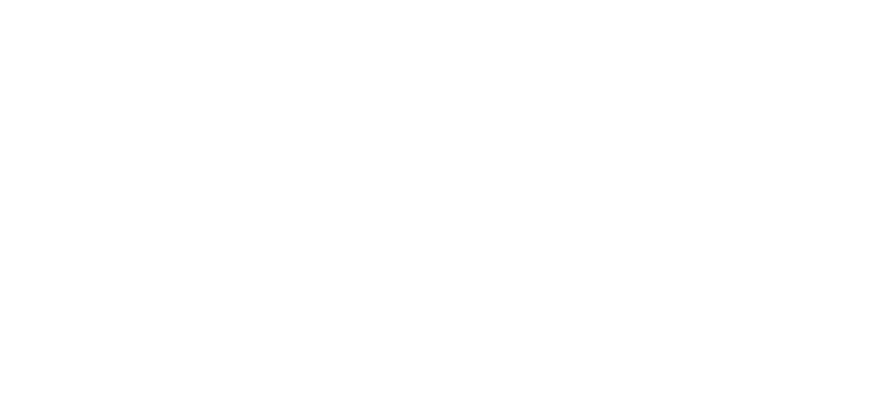 Streetbird on the Beach