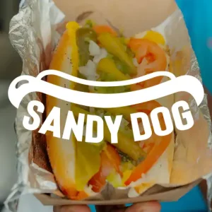 SANDY DOG